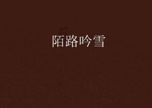 救援年轻女歌手